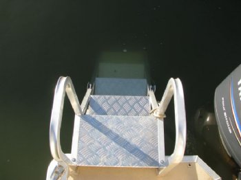 Heavy Duty Rear Mount Pontoon Ladder